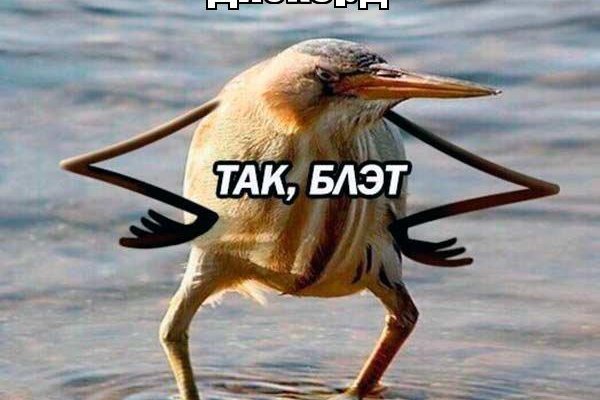 Скрытый интернет как войти