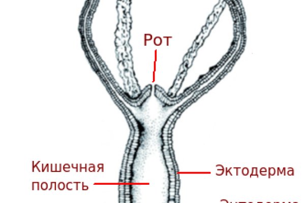 Кракен сегодня сайт зеркало