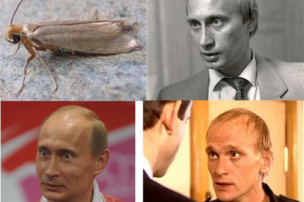 Кракен ссылка замена