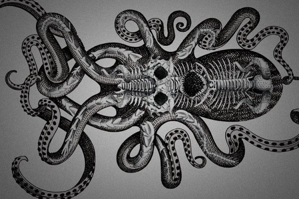 Kraken 25 at