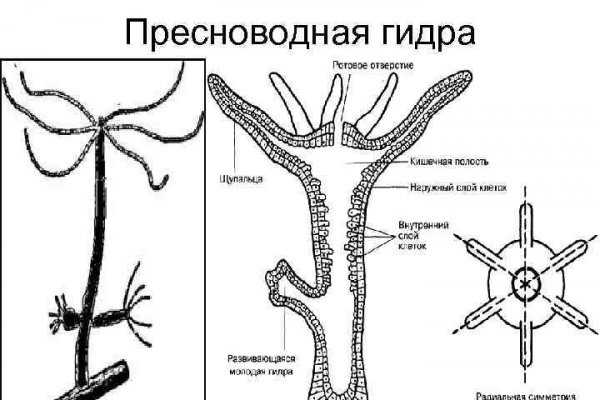 Мега зеркала тор онион мориарти кракен