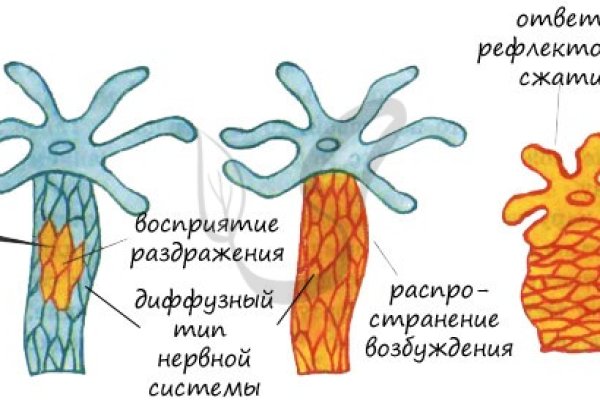 Кракен правильная